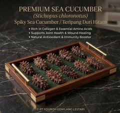 Dried Sea Cucumber - Image 3