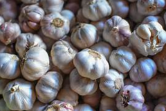 Fresh Garlic - Image 3