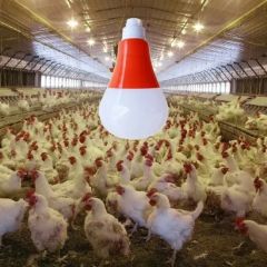 Dimmable Poultry Lamp for Chicken Growing Pig Animal Growing LED Poultry Light - Image 1