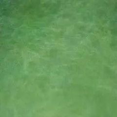 Green Goat Leather Texture Smooth Finish High Finish Weight Light Weight Strength High Strength Skin Friendliness Skin - Image 1