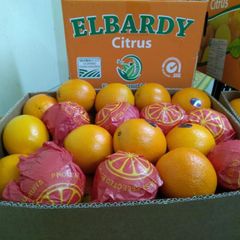Navel Orange - Image 4