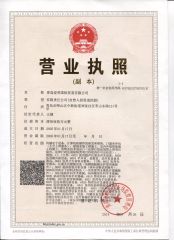 Business license certificate from ALL PRO CORPORATION