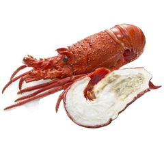 Wholesale Exporter We Sell Frozen Lobster / Live Lobster/Frozen Seafood - Image 4