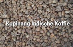 Green Coffee Bean – product photo 1, product detail gallery