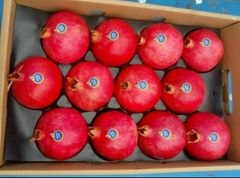 Pomegranate – product photo 1, product detail gallery