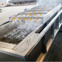 Durable Strawberry Washing Machine Fruit and Vegetable Processing Production Line - Image 5