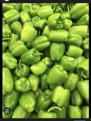 Green capsicum Color Green Origin India Texture - Image 1