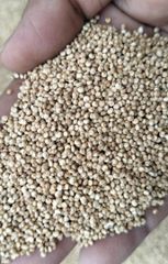 White Quinoa roasted Texture Crunchy Place of Origin india Gluten Status Gluten-free Delivery Time Fast Dispatch Shelf Life Longer Shelf Life - Image 3