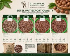 betel nut Packaging 50 kg Certification - Image 3