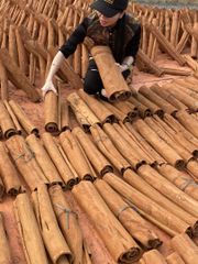 WHOLE CASSIA CINNAMON Color Natural Brown Max. Moisture (%) 13,5 Quality No moldy, not worm - eaten, not rotten and not black - Image 2