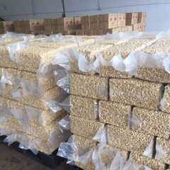 Premium Quality Cashew Nuts for Bulk Orders with High Freshness and Natural Taste For Sale and Export - Image 2