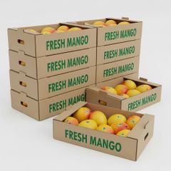Fresh Mango Export Ready Harvest With Golden Flesh Pleasant Sweetness And Professional Packaging For Bulk Orders - Image 5
