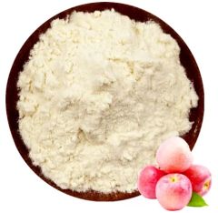 Spray Dried Apple Juice Powder - Image 1