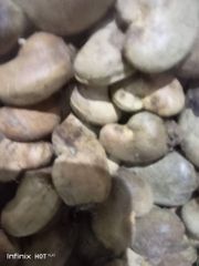 Cashew nuts - Image 2