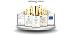 Certificate certificate from Shenzhen Dingsheng Toys Co., Ltd.