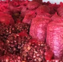 Premium Kenyan red onions, freshly harvested and carefully selected, sorted and graded for vibrant colour, crisp texture - Image 2