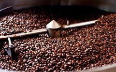 Best seller DHPONE Roasted coffee beans Wholesale High Quality Coffee Beans from Vietnam (Robusta) Raw Coffee Beans – product photo 4, product detail gallery
