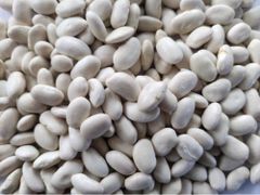 White Beans – product photo 1, product detail gallery