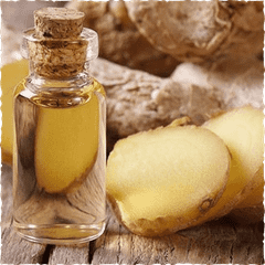 Ginger Essential Oil Origin Vietnam Impurities ≤0.1% Boiling Point 254°c Shelf Life 24 Months Place of Origin Vietnam Color Natural Pale Yellow To Amber - Image 1