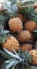 Fresh Pineapple - Image 3