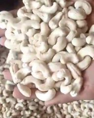 Premium Cashew Nuts W320 (Export Quality) – product photo 2, product detail gallery
