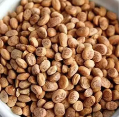 Charoli Chironji Seed – product photo 1, product detail gallery