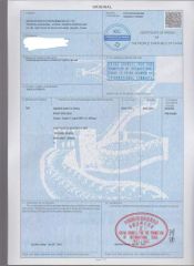 CO certificate from Beijing Zhongyanyinong Seedling Co., Ltd.