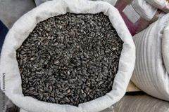 Sunflower Seeds