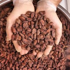 Premium Quality Cocoa Beans In Stock Fast Delivery Buy Best Chocolate Beans Wholesale Price Natural Taste for Sale – product photo 2, product detail gallery