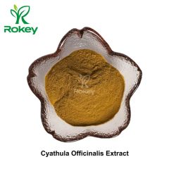 Premium Herbal Extract for Wellness & Vitality Cyathula Officinalis Extract Powder - Image 2