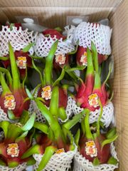7 days Shell Life Red and Green Sweet Taste Red flesh/ White flesh Variety Dragon fruit Export From Vietnam - Image 6