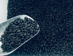 Dried Common Bean