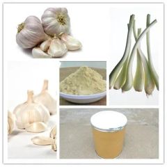 Premium 100% Natural Dehydrated Garlic Powder for Cooking Trademark CHBT Origin Henan China Specification 25kg Type The First - Image 2