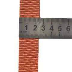 Wholesale Factory High Quality PP Webbing Custom Polypropylene Ribbon for Bags - Image 2