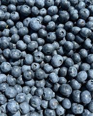 Premium Fresh Blueberries from South Africa for Exports! Class 1 export quality professional packing - Image 3