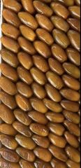 Premium Libyan Degla Dates – Export Quality - Image 3