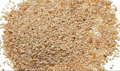 Poppy Seeds - Image 2