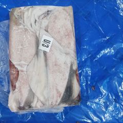 Indian Loligo Squid whole Origin India Quality Grade A Grade Storage Temperature -18°c Or Below Packaging Block Frozen 6x1.8kg - 10.8 Kg Net - Image 1