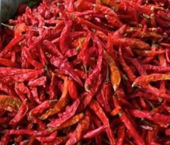 Pepper - Image 2