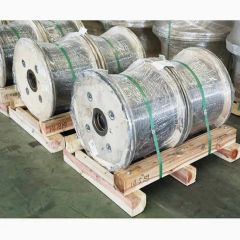 High Performance Hot-DIP Galvanized High Carbon Steel Wire Music Wire for Bridge Cableways - Jiangsu Shenwang Group Wire Rope Co., Ltd
