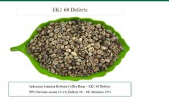 Robusta Coffee Beans Lampung (Grade – product photo 4, product detail gallery