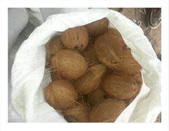 COCONUT – product photo 3, product detail gallery