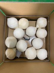 Coconut - Image 2