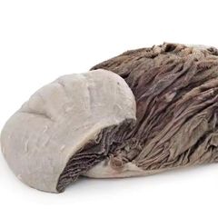 Premium Frozen Beef Omasum Honeycomb Tripe IQF Vacuum Packed Low Fat High Protein Rich Nutrition Long Freezer Storage Stability Twelve Months Shelf Life - Image 2