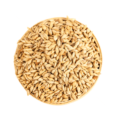 Wholesale wheat grains maintained for continuous trade and high quality resale - Image 2