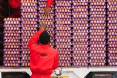 Chicken Eggs