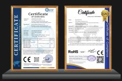Certificates certificate from Guangzhou Dmis Film Technology Co., Ltd.