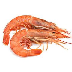 Bulk Quantity Wholesale Supplier Best Quality Frozen HOSO shrimps For Sale In Cheap Price. – product photo 2, product detail gallery