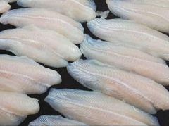 Pangasius Fish - Image 2