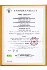 Certificate certificate from Baoding So Luen Import&Export Co., Ltd.
